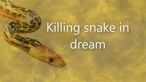 killing a snake dream|killing black snake dreams meaning.